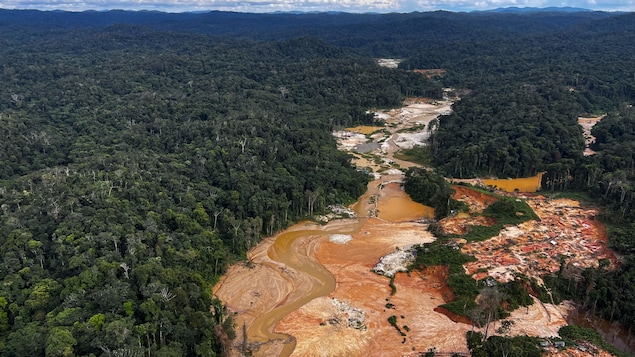 La déforestation de l’Amazonie au Brésil a baissé d’un tiers au premier semestre