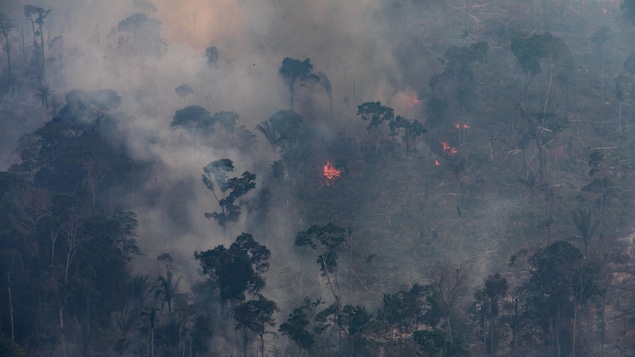 Vue aérienne de la forêt amazonienne en flammes
