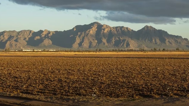 An American Water Crisis It Could Affect Canada Too Radio Canada Ca   American Water Crisis 