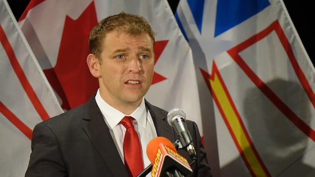 Terre-Neuve retirera le mot « sauvages » de la description de ses armoiries