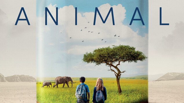 L'affiche du film «Animal ».