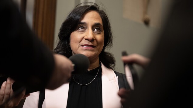 Anita Anand était ministre de l'Approvisionnement au moment des premières irrégularités dans l'attribution de contrats pour l'application ArriveCAN.
