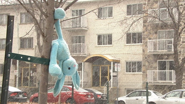 Escalade de violence dans les écoles primaires à Anjou