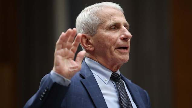 Pandémie : Anthony Fauci invoque le cinquième amendement devant le Sénat américain