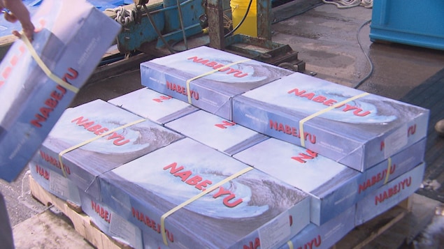 Du poisson en provenance du Japon dans de grosses boîtes grises.