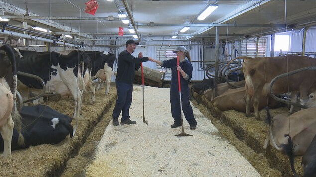 Michel Claveau et son élève dans la ferme Michel Claveau et son élève dans la ferme