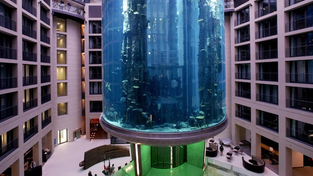 Giant aquarium explodes in Berlin hotel