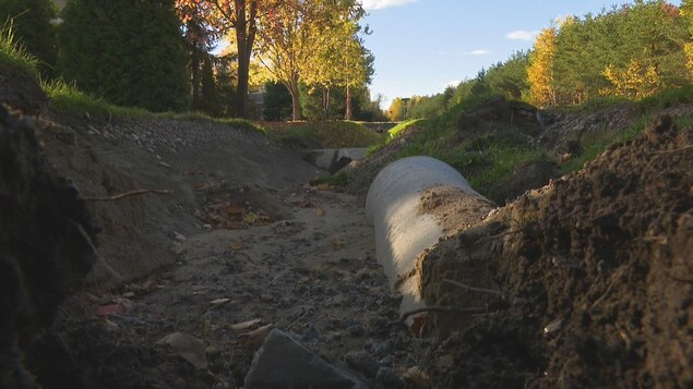 Arsenic : des citoyens inquiets des travaux sur le chemin du Lac-d’Argent à Eastman