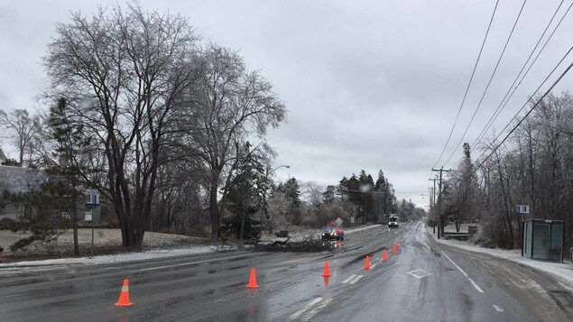 Un arbre sur la chaussée dans le secteur Aylmer. Un arbre sur la chaussée dans le secteur Aylmer.
