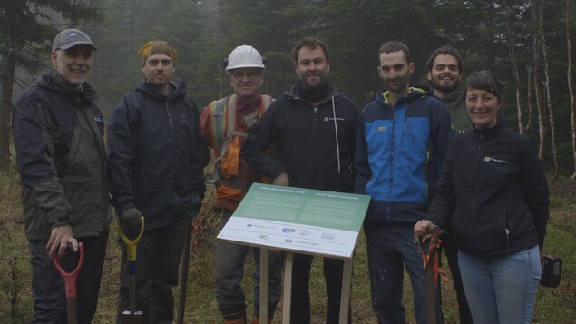 L'équipe de partenaires du projet Arbre dans Charlevoix (gauche à droite) : Daniel Groleau, Vice-Président de la Réserve de la bisophère de Charlevoix, Guillaume Philippe, chargé de projet, Serge Gauvin, ingénieur forestier, Antoine Suzor-Fortier, coordonnateur, Jérôme Fournier, ingénieur forestier pour la MRC de Charlevoix, Juba Tinsahli, stagiaire et Kathy Morin, régisseuse. L'équipe de partenaires du projet Arbre dans Charlevoix (gauche à droite) : Daniel Groleau, Vice-Président de la Réserve de la bisophère de Charlevoix, Guillaume Philippe, chargé de projet, Serge Gauvin, ingénieur forestier, Antoine Suzor-Fortier, coordonnateur, Jérôme Fournier, ingénieur forestier pour la MRC de Charlevoix, Juba Tinsahli, stagiaire et Kathy Morin, régisseuse.