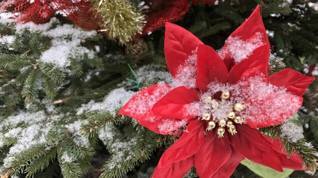 Les branches de l'arbre sont couvertes de neige et décorées d'une grosse fleur rouge artificielle.