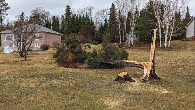 Des milliers de clients d’Hydro-Québec privés d’électricité au Saguenay-Lac-Saint-Jean