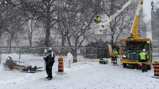Des employés en train d'élaguer un arbre devant Osgoode Hall à Toronto.