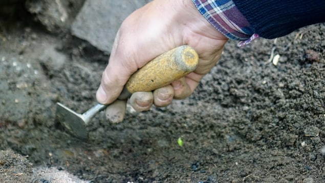 Certaines découvertes feront appel à l'expertise d'archéobotanistes en raison de la présence de grains carbonisés trouvés près du moulin.