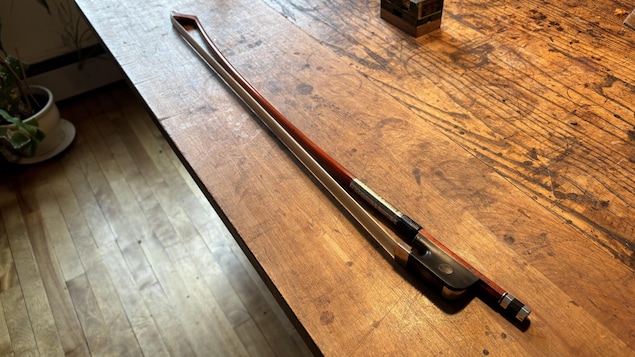 Le bois de pernambouc : préserver la nature ou la culture? image