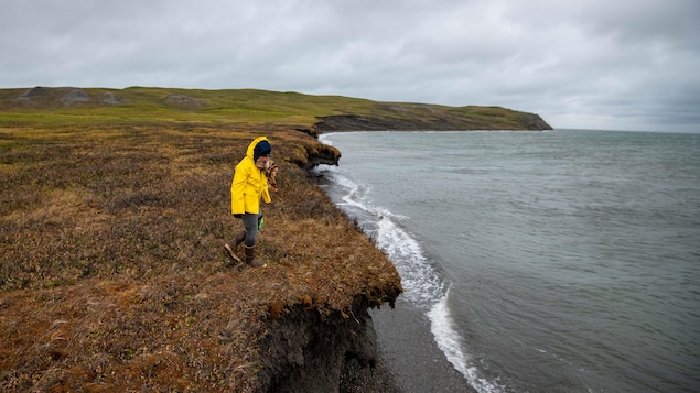 Cinq faits à savoir sur le réchauffement du climat en Arctique, selon une écologue