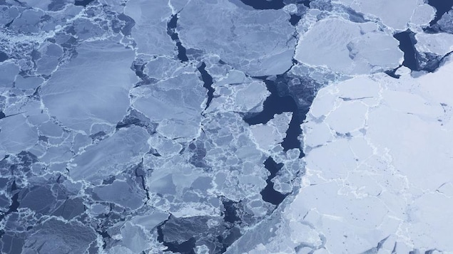 A close up of Arctic sea ice. 