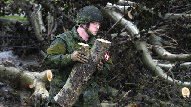 More than 700 military personnel now in Atlantic Canada as Fiona recovery drags on - Vimarsana News