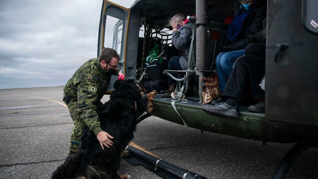 Un militaire aide un chien à monter dans un hélicoptère.