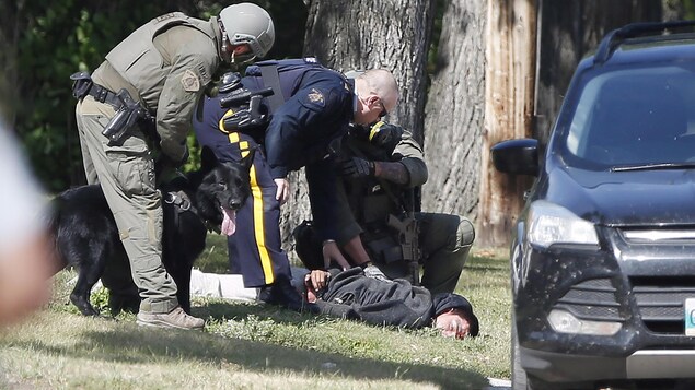 Un policier est menotté et tenu à terre par trois agents de police, l'un d'entre eux tient un chien sur une laisse.