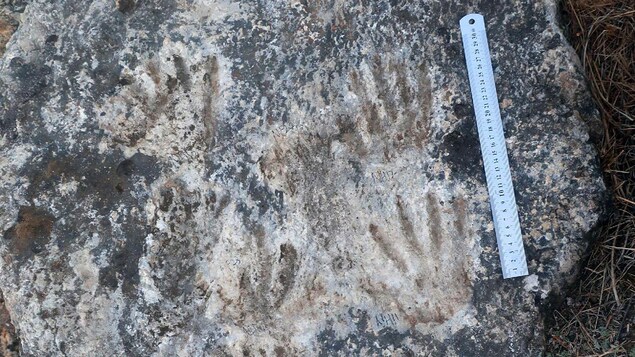 Le plus ancien exemple d’art pariétal découvert au Tibet