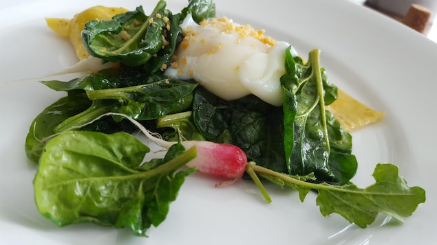 Une assiette sur laquelle des légumes sont posés. On peut notamment voir un radis, parmi les nombreuses feuilles. Une assiette sur laquelle des légumes sont posés. On peut notamment voir un radis, parmi les nombreuses feuilles.