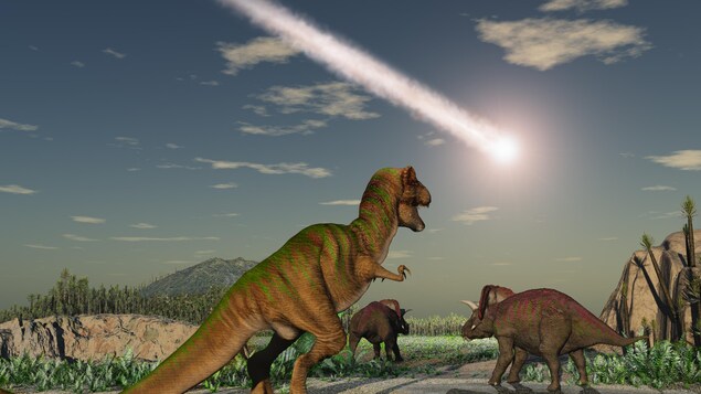 L'astéroïde Chicxulub est tombé dans la région de l'actuel Yucatan, au Mexique. L'astéroïde Chicxulub est tombé dans la région de l'actuel Yucatan, au Mexique.