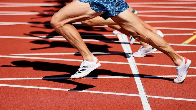 Les jambes de plusieurs athlètes qui courent sur une piste. 
