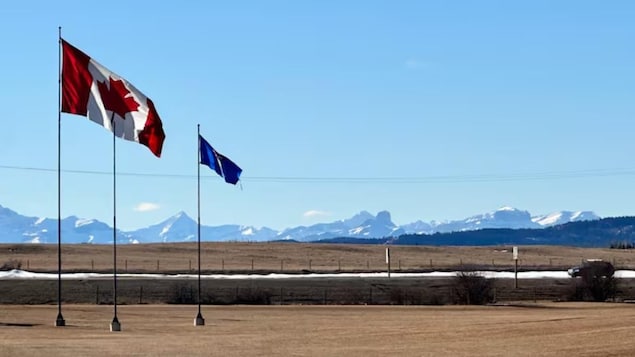 Une voiture roule vers le sud sur la route 22 dans le comté de Rocky View, avec les montagnes Rocheuses en arrière-plan et les drapeaux du Canada et de l'Alberta au premier plan. (Robson Fletcher/CBC)