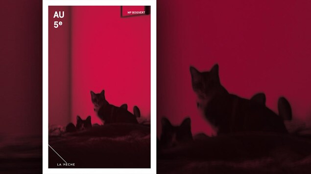 La couverture du livre « Au 5e » , de M. P. Boisvert La couverture du livre « Au 5e » , de M. P. Boisvert
