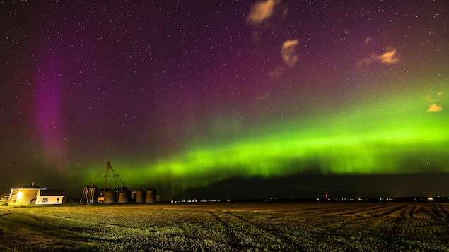 Des aurores boréales vues d'un champ agricole.