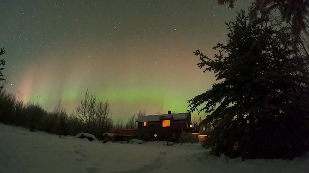 Des aurores boréales au-dessus de Mount Lorne, au Yukon, en janvier 2026.