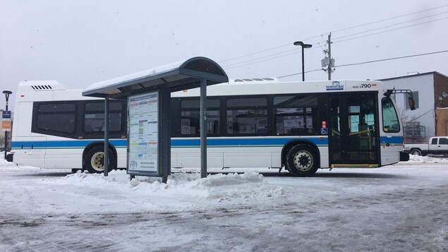 Un autobus du North Bay Transit.