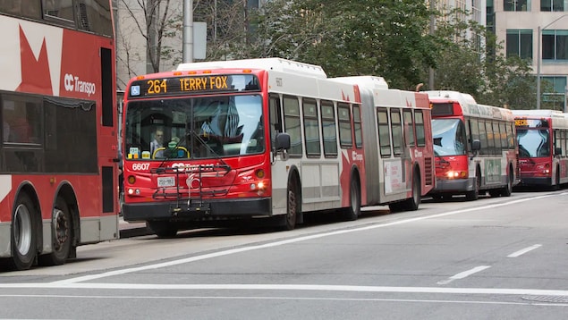 Quatre autobus d'OC Transpo dans une rue non précisée d'Ottawa.