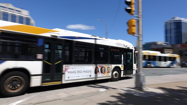 Un autobus au centre-ville d'Halifax.