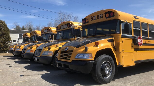 Cinq autobus scolaires stationnés côte à côte.