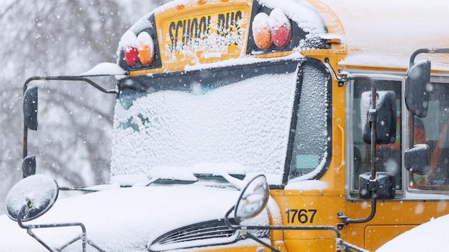 Schools closed, buses cancelled by freezing rainstorm