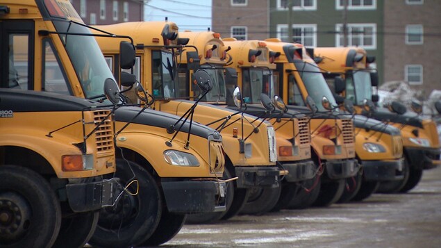 Gros plan sur six autobus scolaires garés côte à côte Gros plan sur six autobus scolaires garés côte à côte