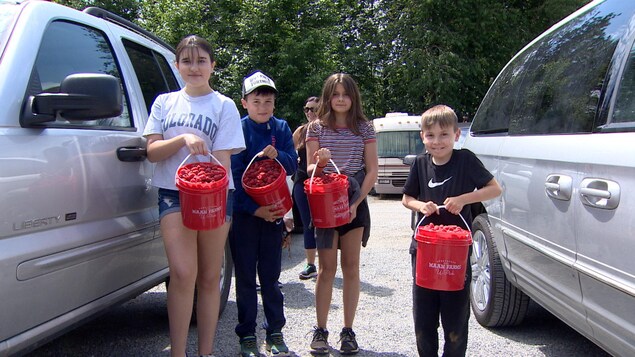 Une famille avec des seaux remplis de framboises.