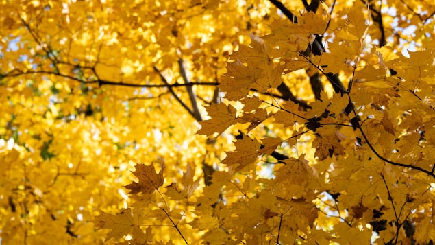 L’équinoxe d’automne, c’est quoi?
