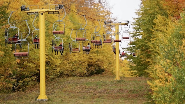 La MRC de La Mitis veut créer un parc régional au Mont-Comi