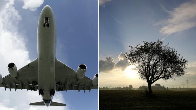 Un montage photo montre un gros avion de ligne commercial en vol et un arbre dans un champ près d'une centrale au charbon du fournisseur d'électricité Uniper à Hanau.