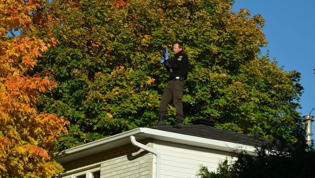 Un agent de la faune sur un toit. Un agent de la faune sur un toit.