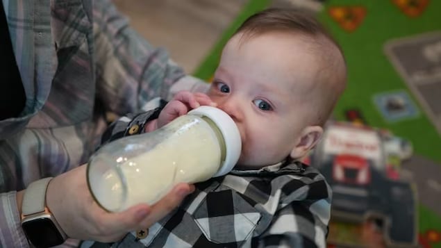 Six-month-old Colt feeds on a bottle of formula. His mother, Ashleigh Ottley, tells CBC she spends upwards of $70 per week on formula. (Dillon Hodgin/CBC)
