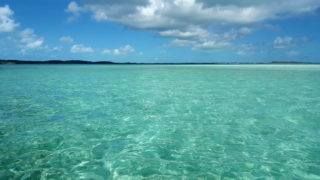 L'océan dans toute sa splendeur aux Bahamas. Great Exuma Island.