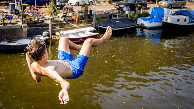 Un garçon saute à l'eau.