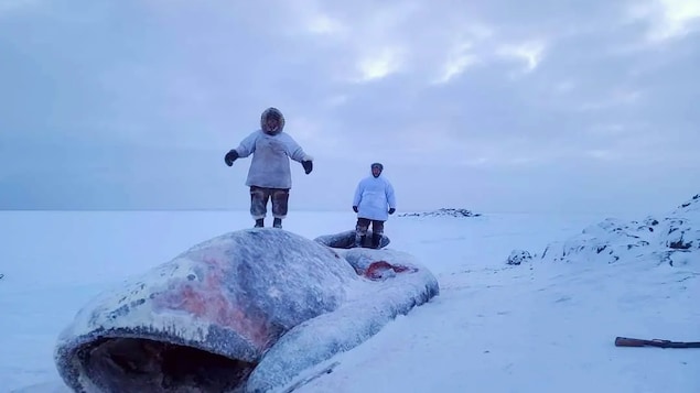 Lenny Pannigayak et son père sont debout sur l'énorme baleine gelée.