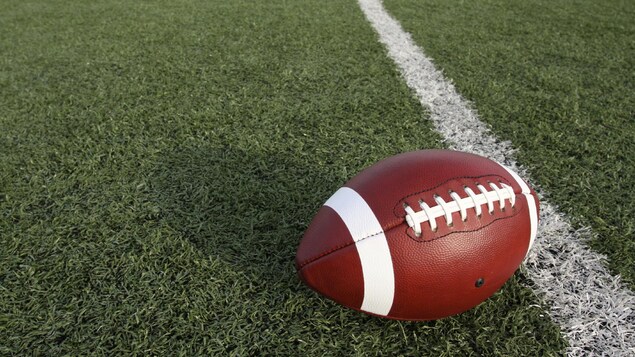 Un ballon de football près d'une ligne blanche d'un terrain gazonné.