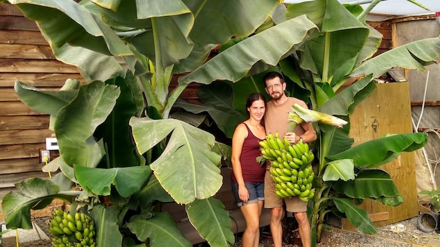 Yukon Soles posa con una mujer cerca de las plantas de plátano. Sostiene una planta de plátano en sus manos. 