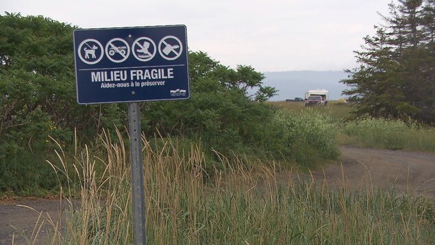 Le banc de Saint-Omer, un lieu recherché par les amateurs de camping sauvage.